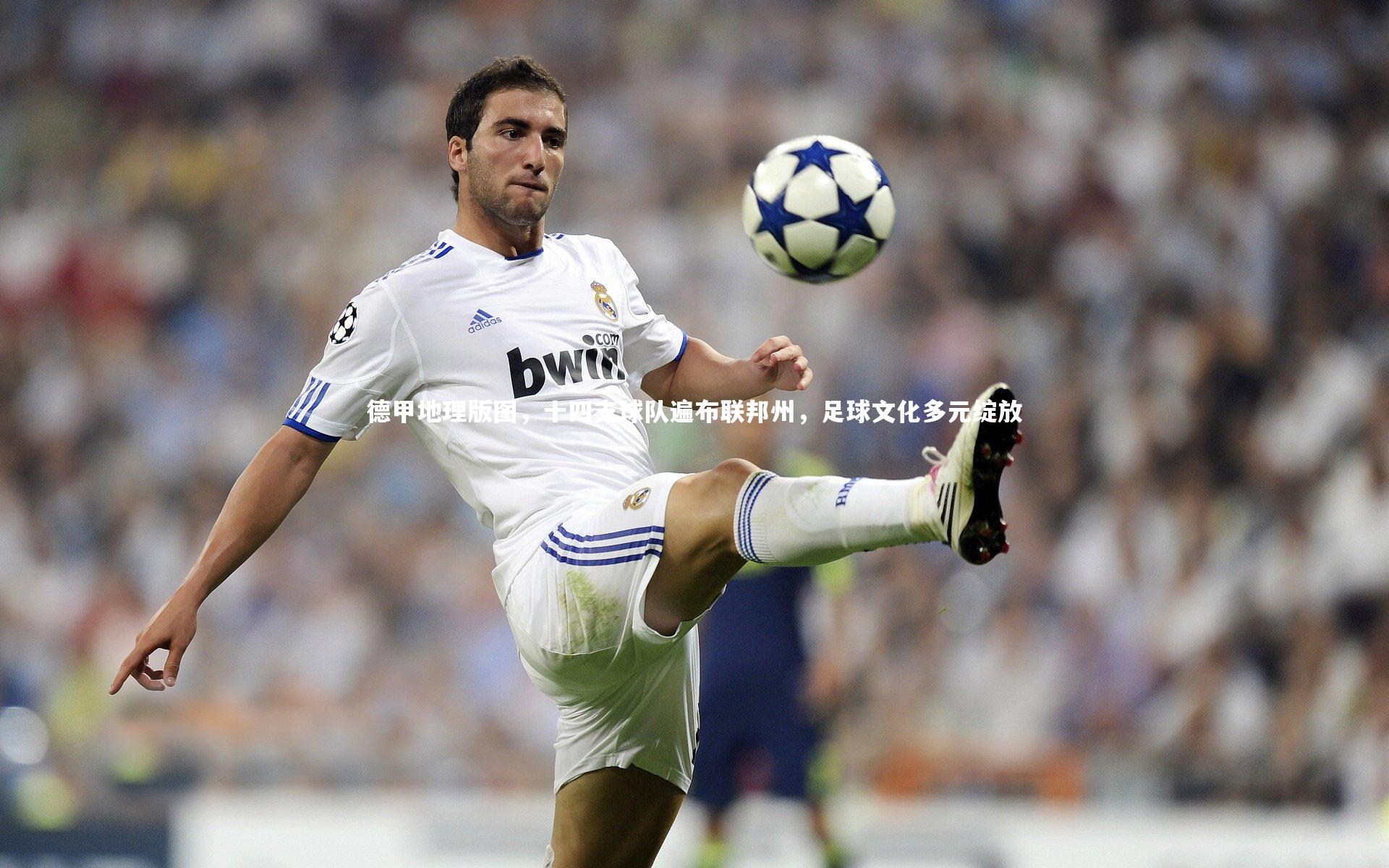 德甲地理版图，十四支球队遍布联邦州，足球文化多元绽放